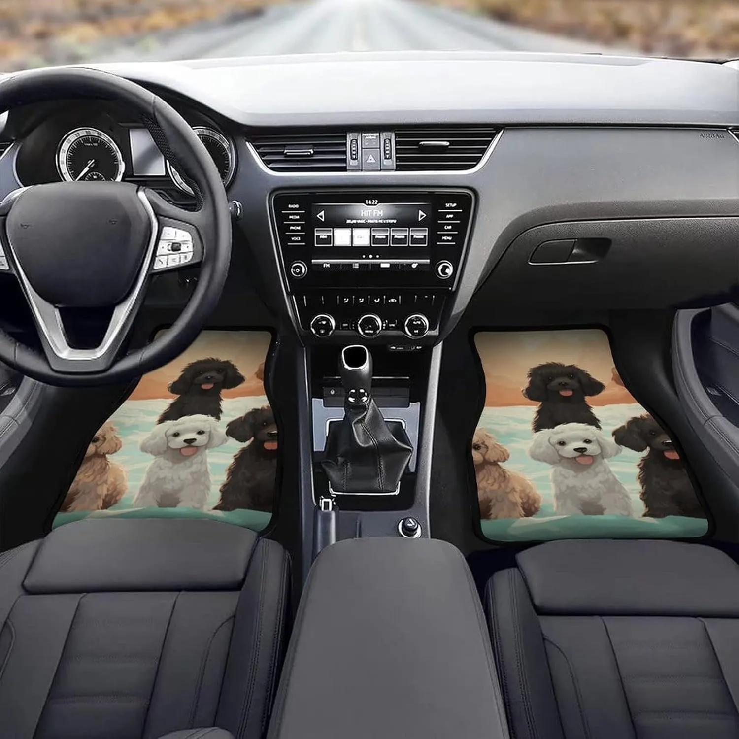 Car Floor Mats 4 Piece Universal Car Floor Mats Poodles Dogs Car Mat Set Rubber Floor Mats for Cars Non-Slip Car Foot Pad Car Carpet Decor Heel Pad for Most Vehicles