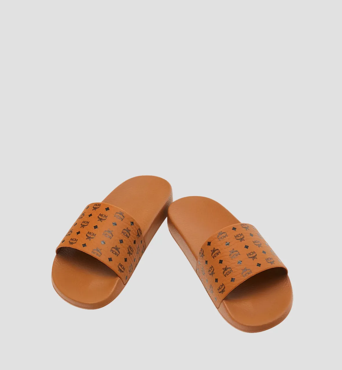 MCM SLIDE (01)