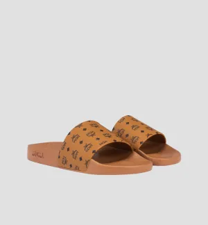 MCM SLIDE (01)