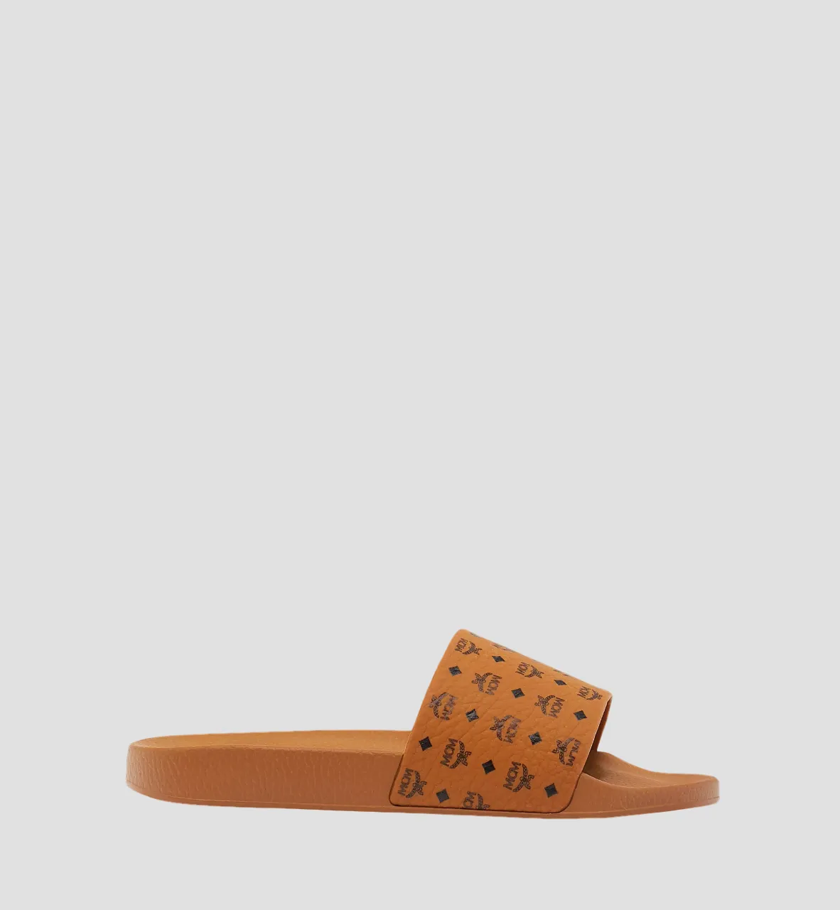 MCM SLIDE (01)