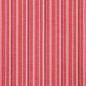 PRIMAVERA STRIPE | Berry